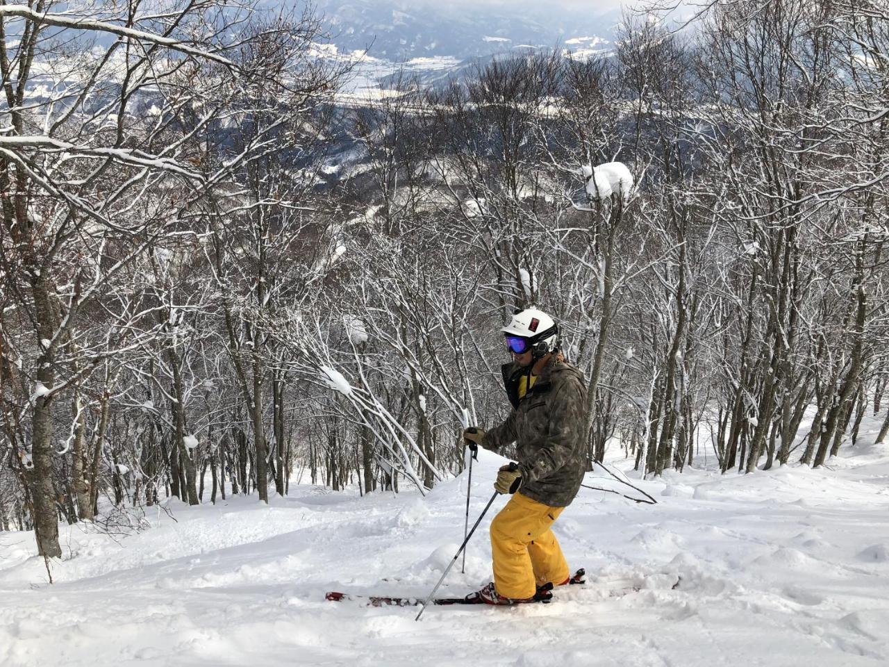 Hotel Onsen Yado Echo Myoko Exteriér fotografie