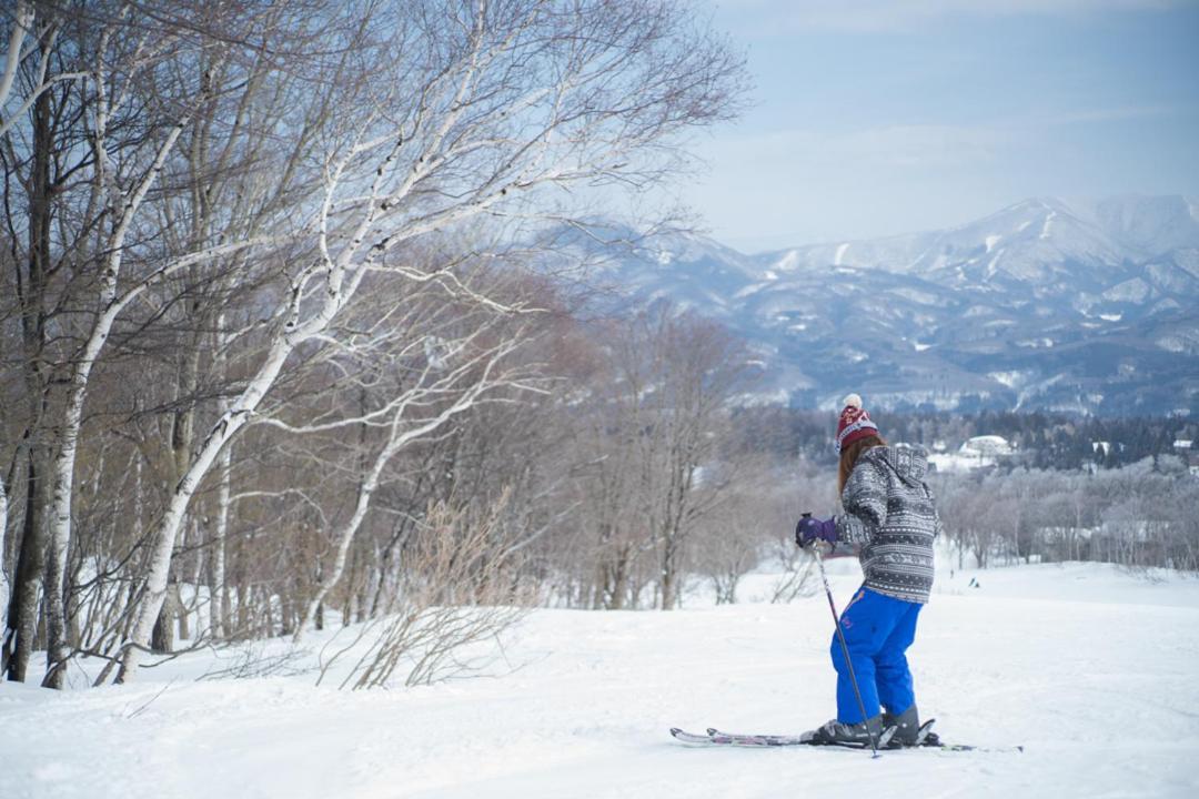 Hotel Onsen Yado Echo Myoko Exteriér fotografie